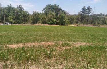Terreno – Condomínio Alto Padrão – Cerqueira César