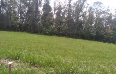 Terreno – Condomínio Alto Padrão – Cerqueira César