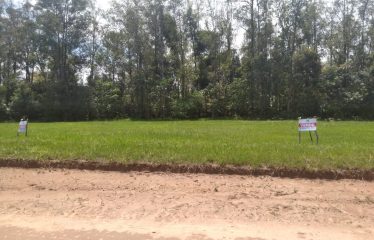 Terreno – Condomínio Alto Padrão – Cerqueira César